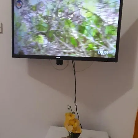 Pan Di Zucchero * Iglesias